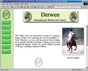 Visit Derwn International